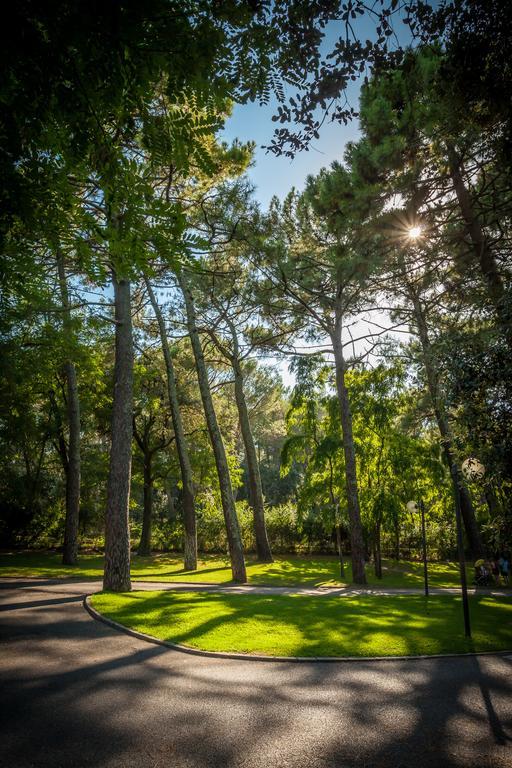 Camping La Sousta**** Remoulins Eksteriør billede