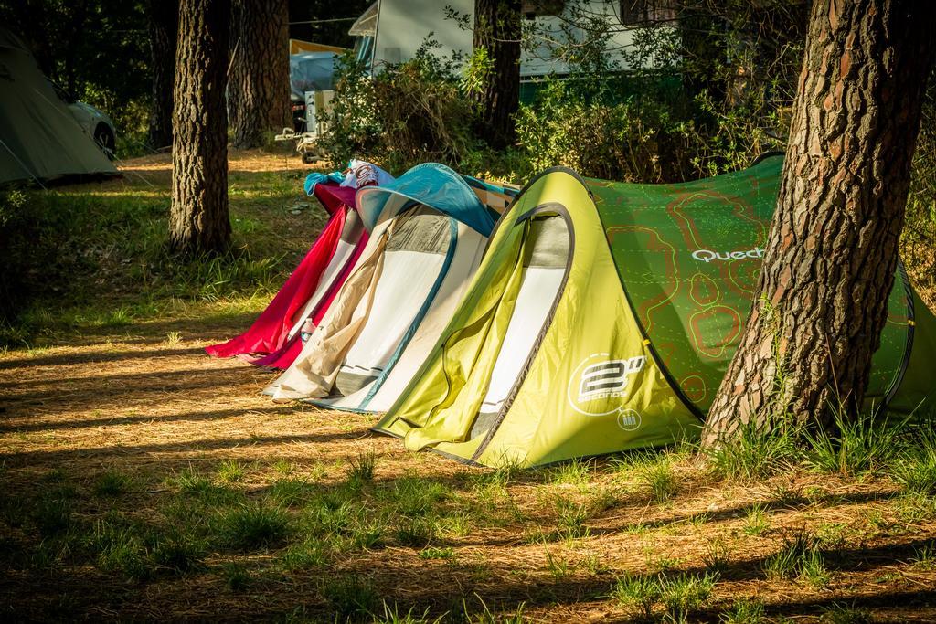 Camping La Sousta**** Remoulins Eksteriør billede