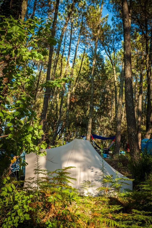 Camping La Sousta**** Remoulins Eksteriør billede