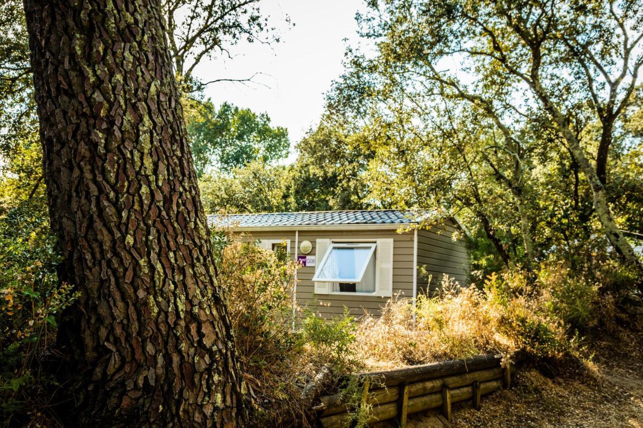 Camping La Sousta**** Remoulins Eksteriør billede